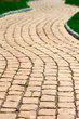 path and green grass path and green grass