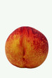 Nectarine.