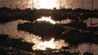 View of a marina full of boats during sunset