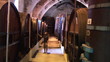 Wine grower checking his barrels of red wine