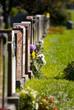 Montreal cemetery