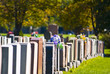 Montreal cemetery
