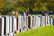 Montreal cemetery