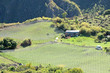 vignoble dans le cirque de Cilaos, île de la Réunion vignoble dans le cirque de Cilaos, île de la Réunion