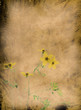 Grunge Flower background Grunge Flower background