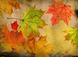 Grunge autumn background Grunge autumn background