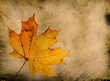 Grunge autumn background Grunge autumn background
