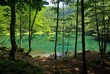 etang de peche