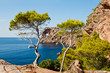 Foto: Mallorca -Bucht Mallorca -Bucht