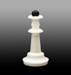 White chess in gradient backround White chess in gradient backround