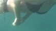 Young woman swimming with snorkel underwater
