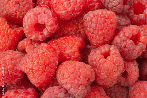Photo: Raspberry close up Raspberry close up