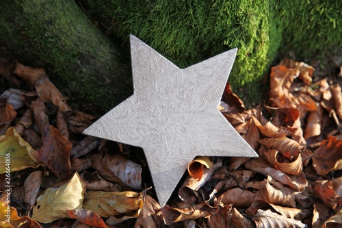 Foto: Weihnachten Weihnachten