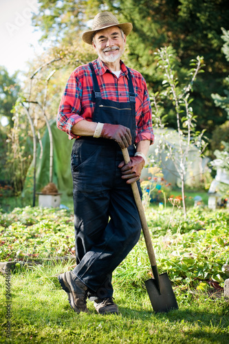 Photo: Senior gardener with a spade in the garden Senior gardener with a spade in the garden