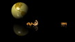 Video: 3d animation of currencies falling with world in the background 3d animation of currencies falling with world in the background