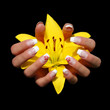 hand mit gelber lilie hand mit gelber lilie