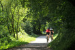 Escursione in mountain bike Escursione in mountain bike