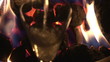 Close up of a fire in a chimney with flute of champagne