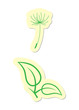 Nature Icons
