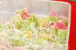 Boil tapioca flour mixed with sugar and coconut Boil tapioca flour mixed with sugar and coconut