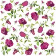 Retro floral background. Rose. Retro floral background. Rose.
