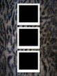 Photos on fur