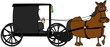 Amish Buggy