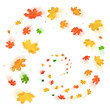 Autumn leaves