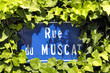 Photo: Panneau "Rue du Muscat" à Eguisheim, Alsace Panneau "Rue du Muscat" à Eguisheim, Alsace
