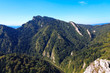 View of forest covered mountains and river below View of forest covered mountains and river below
