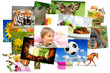 Fotogalerie 9