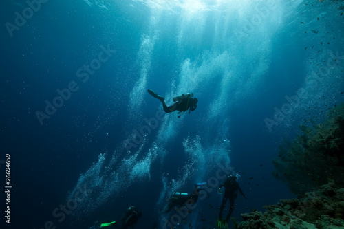 Photo: fish and ocean fish and ocean