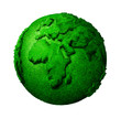 green globe