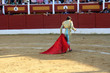 Torero en el ruedo
