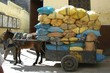Mule chargée à Féz