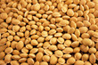 grain