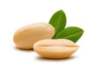 Peanuts and leaves