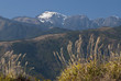 mountain landscape in shei-pa national park in Taiwan. mountain landscape in shei-pa national park in Taiwan.