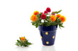 red orange flower bouquet in a blue vase isolated on white backg