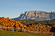 Autunno in Alto Adige Autunno in Alto Adige