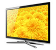 Illustration: tv lcd with flowers on screen. tv lcd with flowers on screen.