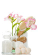 Badesalz Badekugeln mit Bürsten und Blume Badesalz Badekugeln mit Bürsten und Blume