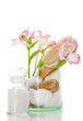 Badesalz mit Bürsten und Blume Badesalz mit Bürsten und Blume