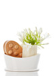 Massagerolle mit Naturschwamm und Blume Massagerolle mit Naturschwamm und Blume