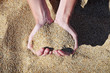 Sand