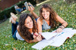 Two Young Woman Study Togheter at Park