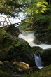 RIO DEL GIEESBACH