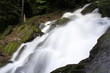 GIEESBACH VI
