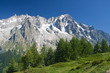 Les Grandes Jorasses - Mont Blanc