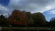 Park and autumn time lapse